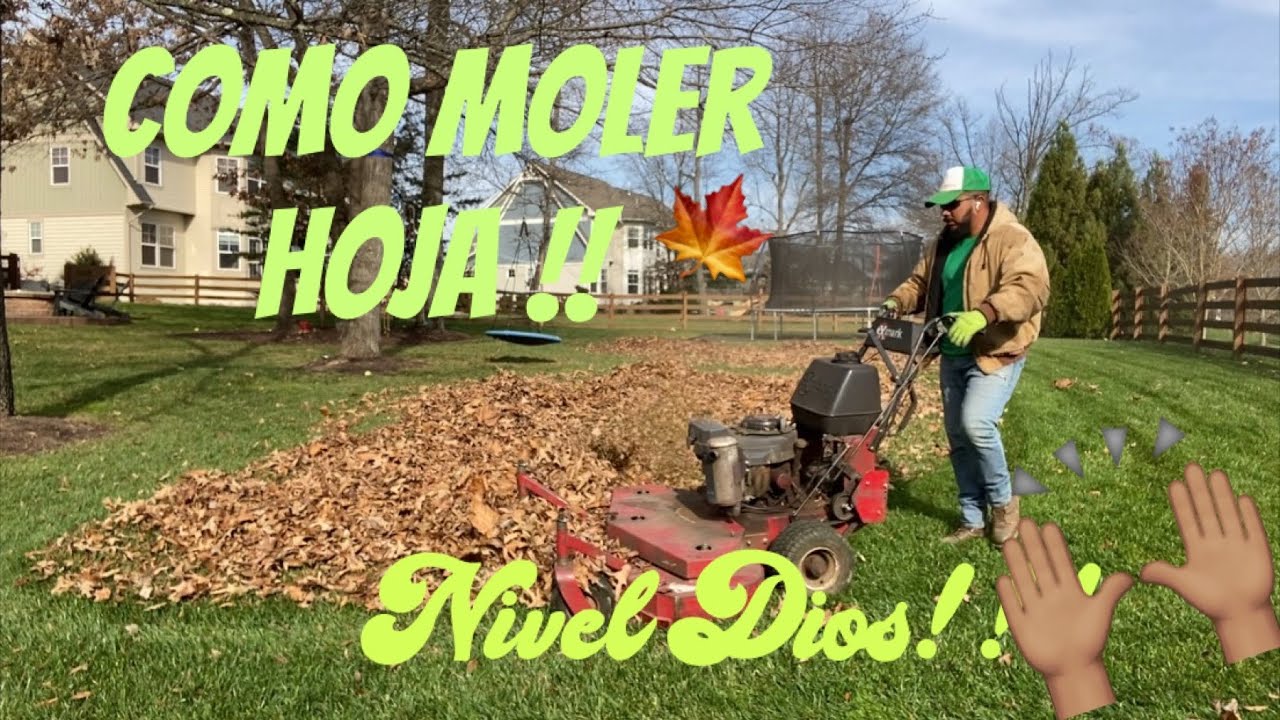 КАК ПОЧИСТИТЬ ЛИСТ В ДОМЕ! (Легко и быстро) 🍂🍁