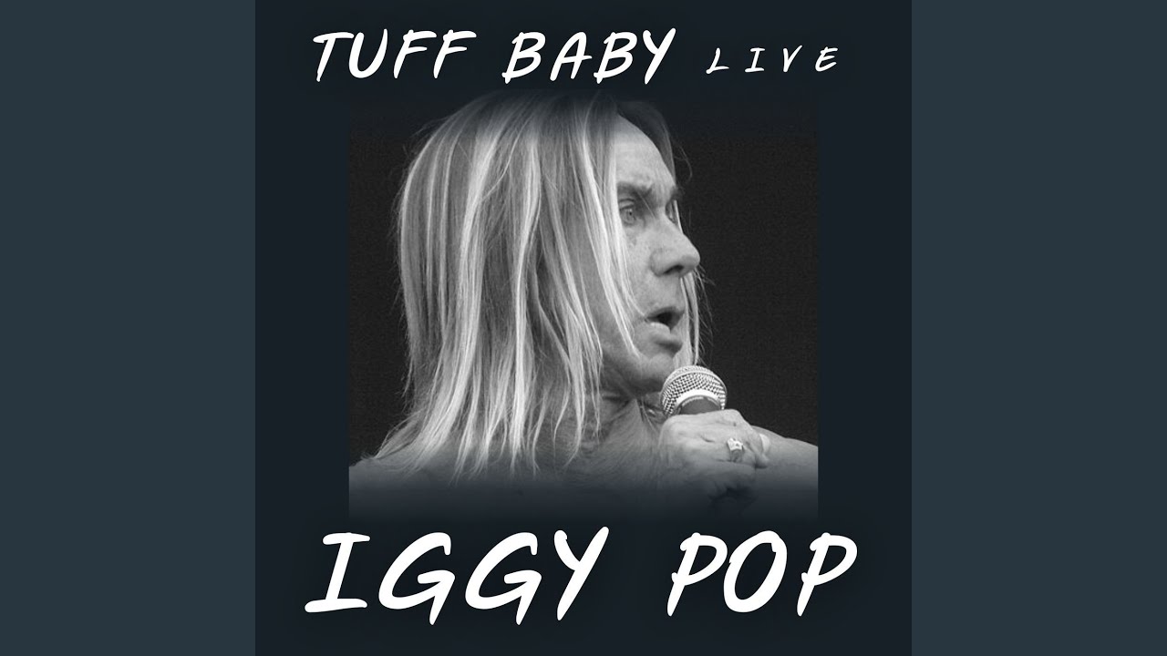 I Wanna Be Your Dog (Live)