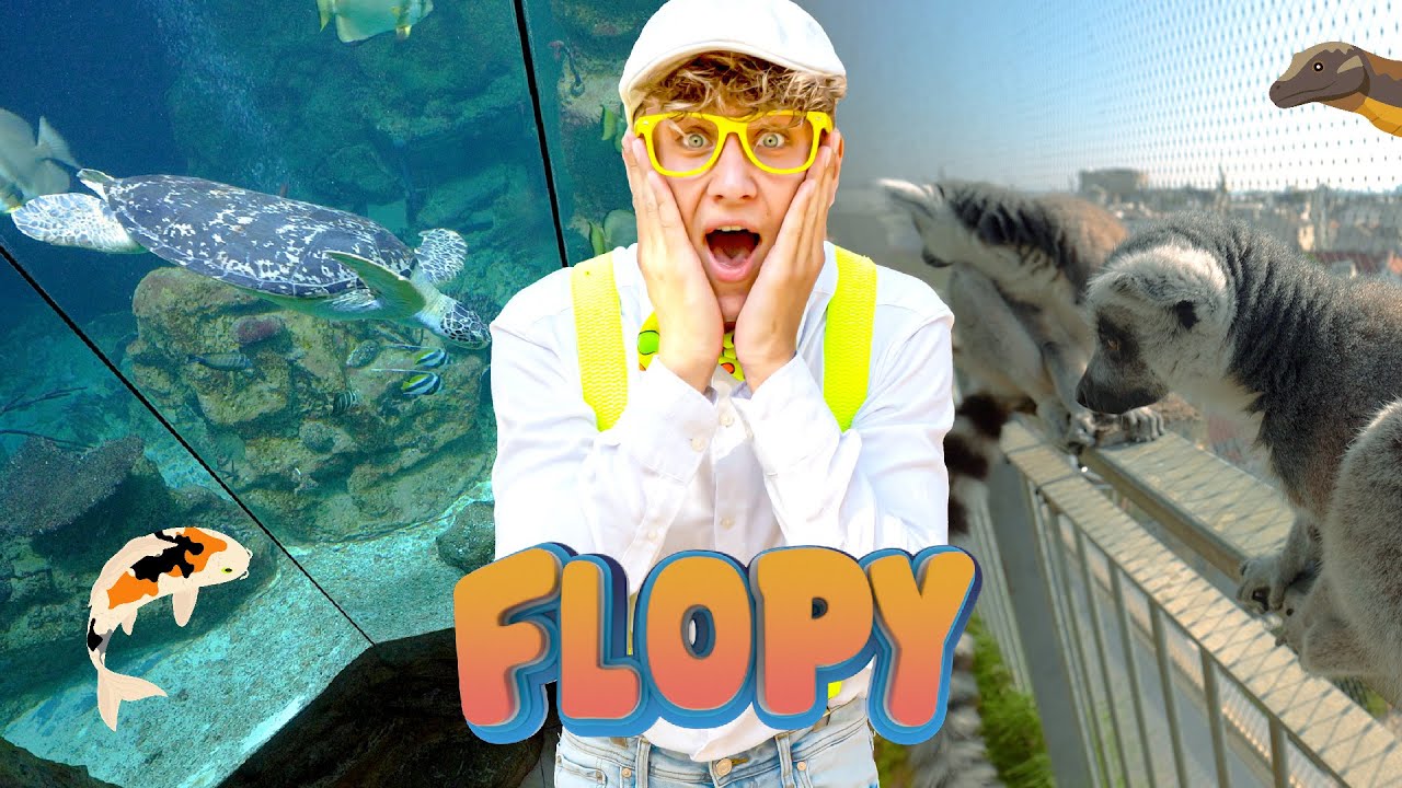 Farebné rybky, kamarátky lemur a korytnačka Puppi | Flopy