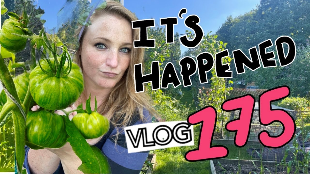 Its got me…. BLIGHT :( Ep175 ll Plot 37