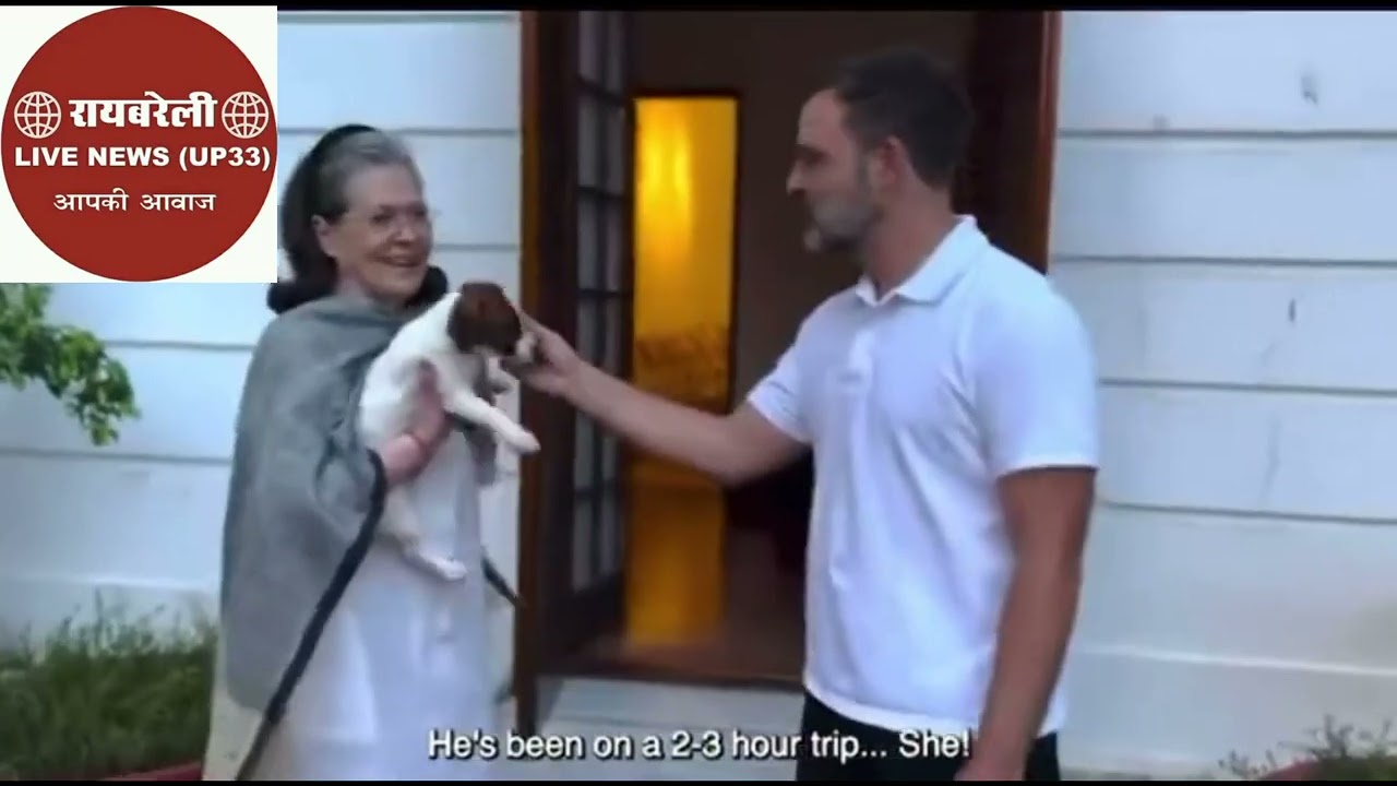 राहुल गांधी और सोनिया गांधी का जानवरों के प्रति प्यार का वीडियो सोशल मीडिया पर काफी वायरल हो रहा है