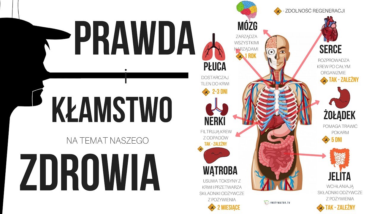 17 nieoczywistych powodów dlaczego chorujesz. Prawda i kłamstwo na temat naszego zdrowia #WOJ 2/3