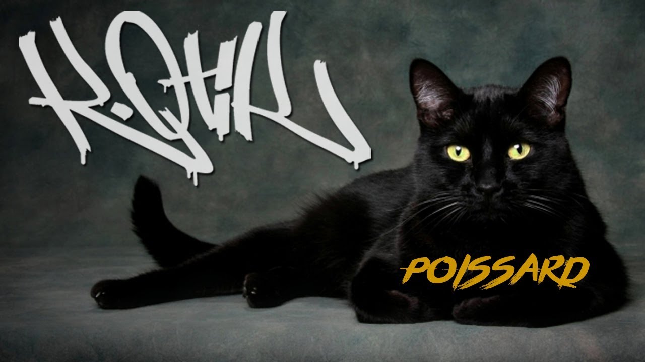 K-OTIK (R2F) - Poissard [Prod. Ben Maker]
