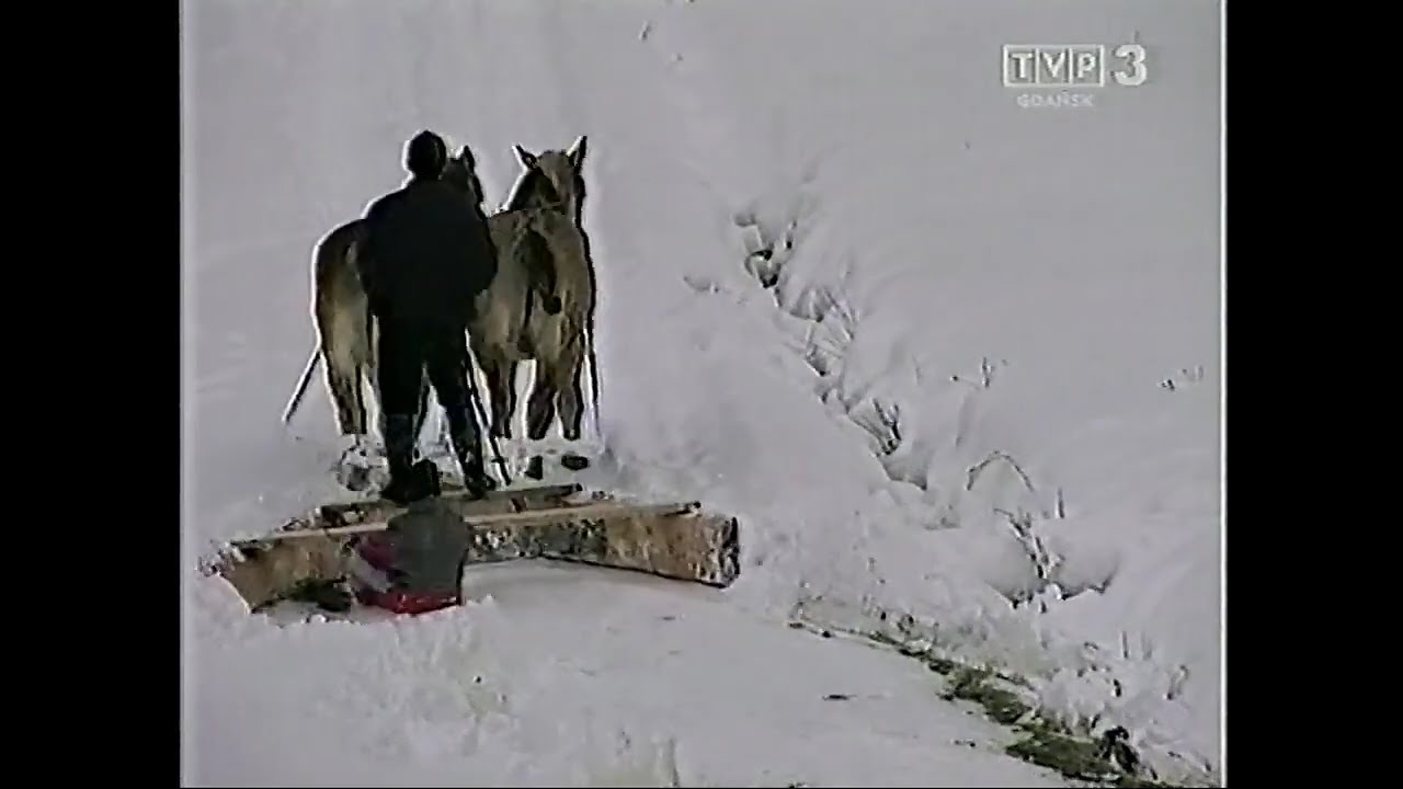 3 Gdańsk - Zapowiedzi, identy, przerywnik, teledysk i belka - 07.03.2003