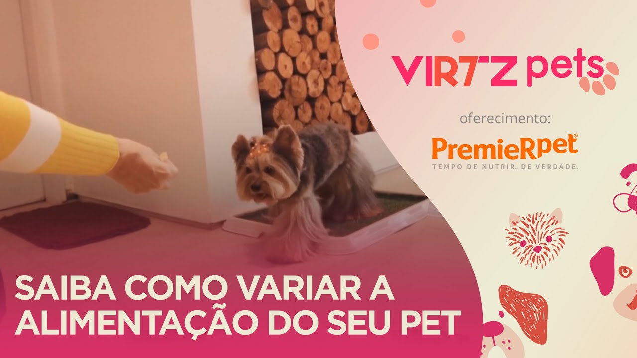 Saiba como variar a alimentação do seu pet sem prejudicar a saúde | PremieRpet®