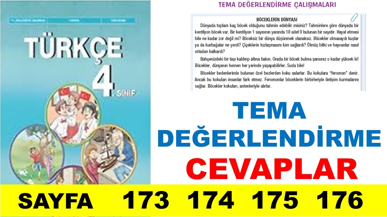 4.Sınıf Türkçe Ders Kitabı Sayfa 173 174 175 176 Tema Değerlendirme Çalışmaları Cevapları