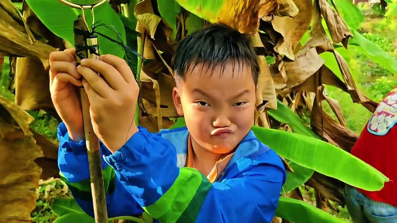Đi vớt cá