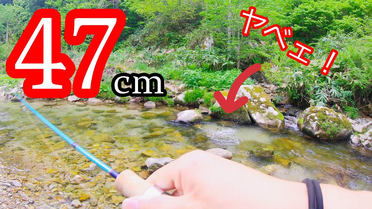 【渓流】岩下から出てきたイワナに　衝撃が走る