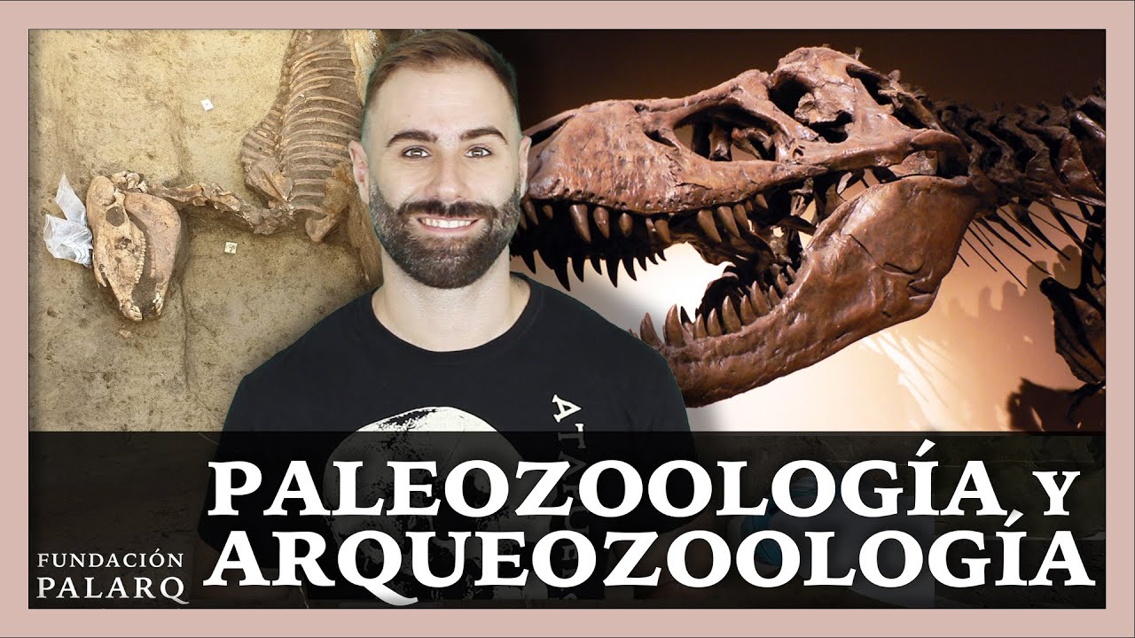 ¿Qué son la Paleozoología y Arqueozoología?