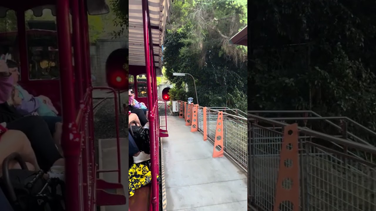 Disneyland  for Josh 
