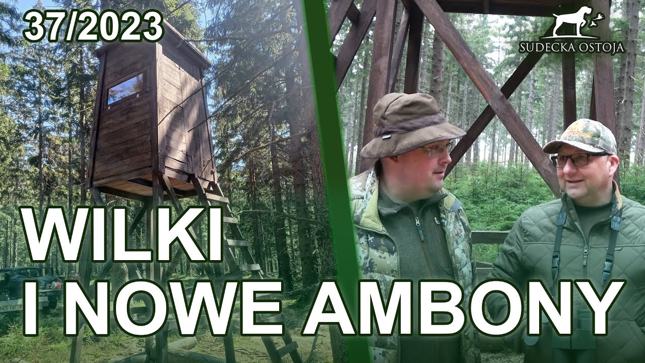 SUDECKA OSTOJA 37/2023 Nowe Ambony i Wilki - Pokazujemy ciekawą ambonę!