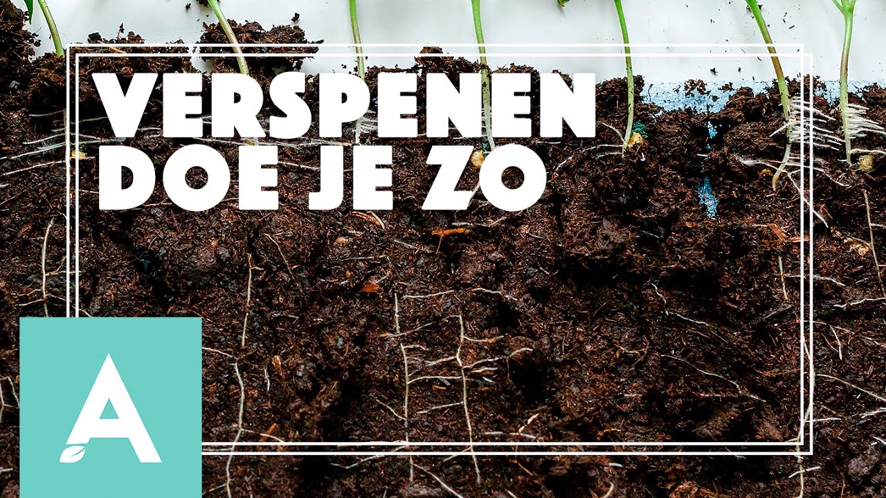 Verspenen doe je zo! - Grow, Cook, Eat #10