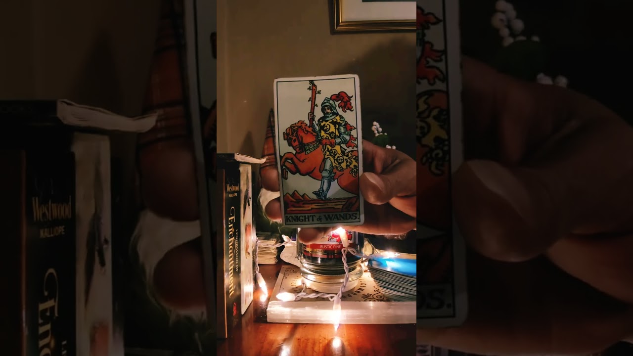 Timothy Chalamet Psychic Tarot Reading FUTURE SPOUSE & KYLIE