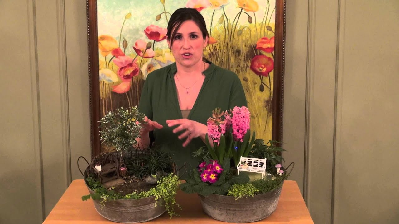 The differences between Miniature and Fairy Gardens