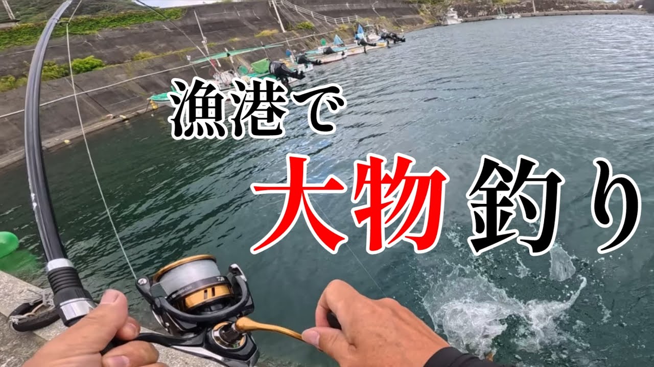 スーパーで買ったアサリで大物釣り！