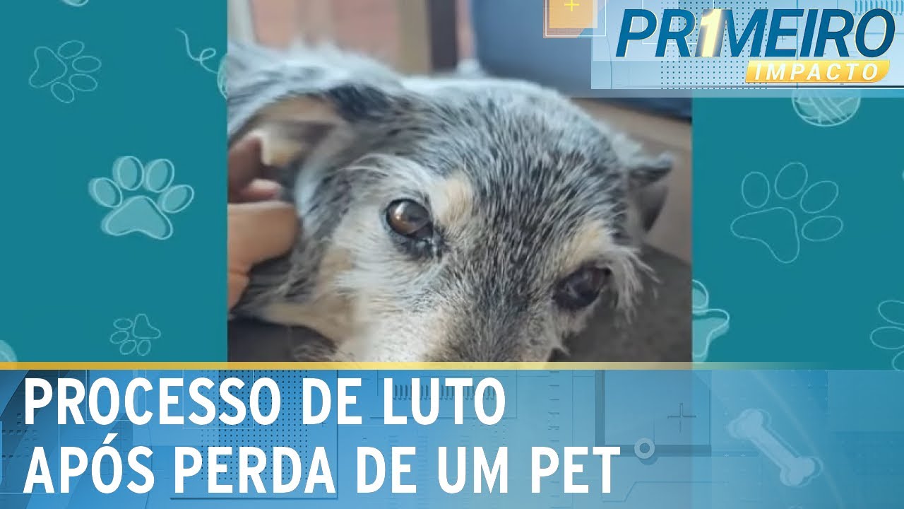 Faz Parte da Família: como lidar com o luto após a morte dos pets? | Primeiro Impacto (21/09/23)
