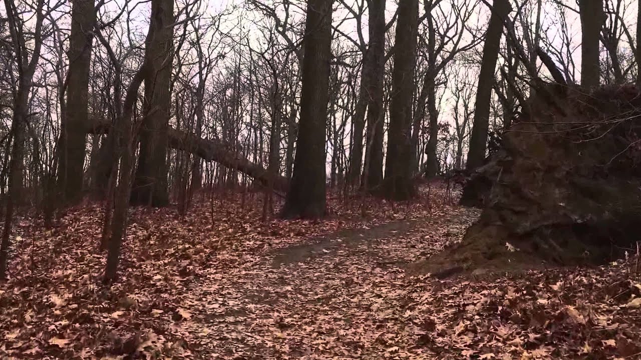 Kazimiroff Nature Trail at Pelham Bay Park