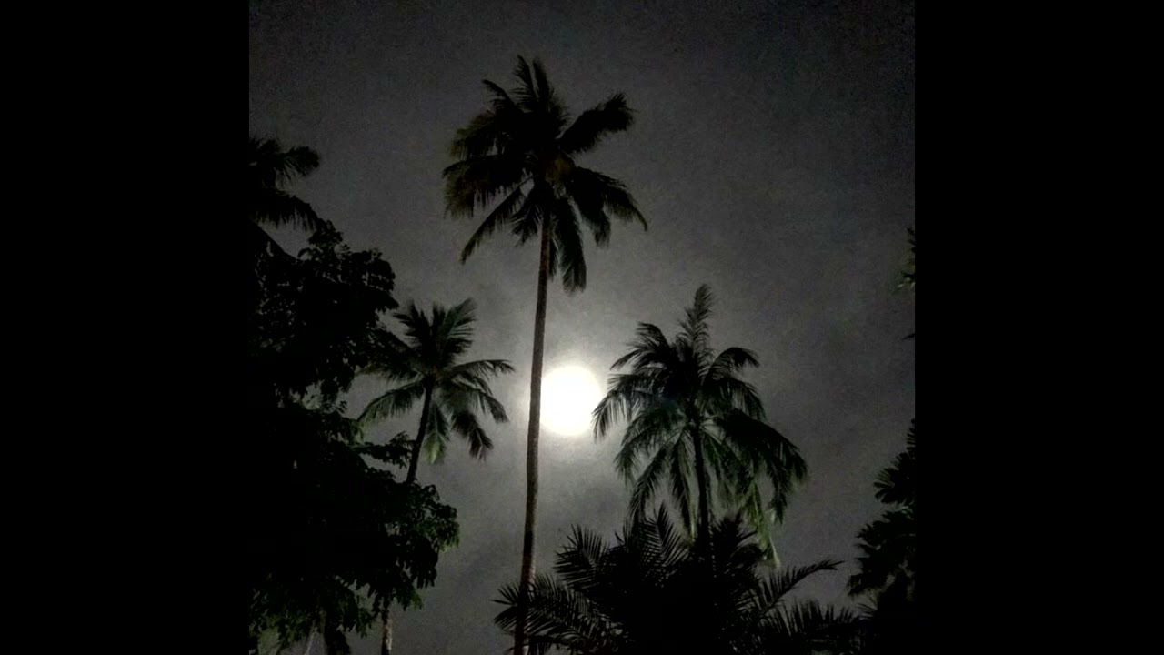 $uicideboy$ - Introversion [slowed + reverb]