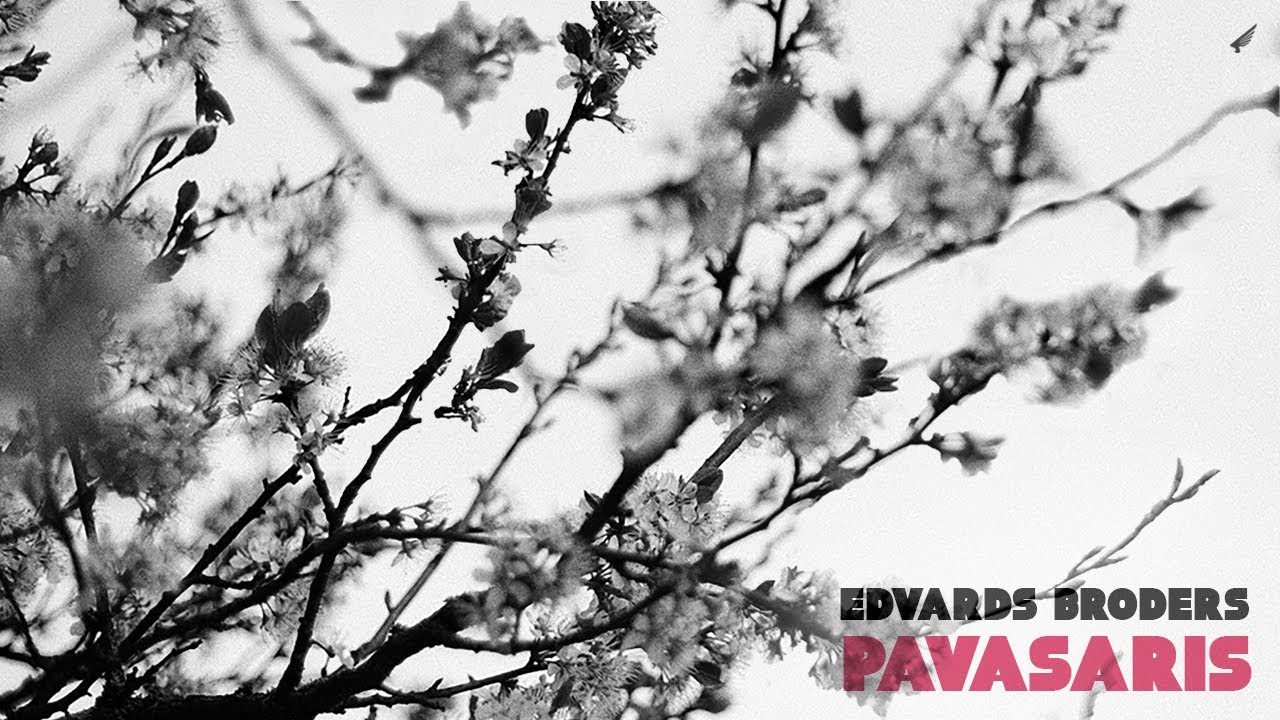 Pavasaris by Edvards Broders - Music from The state51 Conspiracy