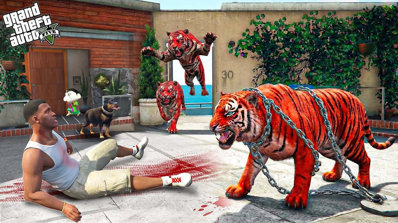 Franklin & Shinchan Attacked by Wild Red Tigers in Los Santos! 🐯😰 | GTA 5