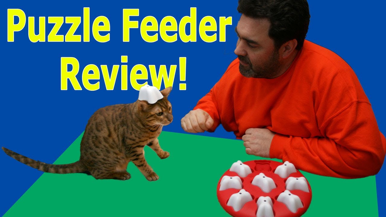 Cat Puzzle Feeder Review - Dog Magic by Nina Ottosson