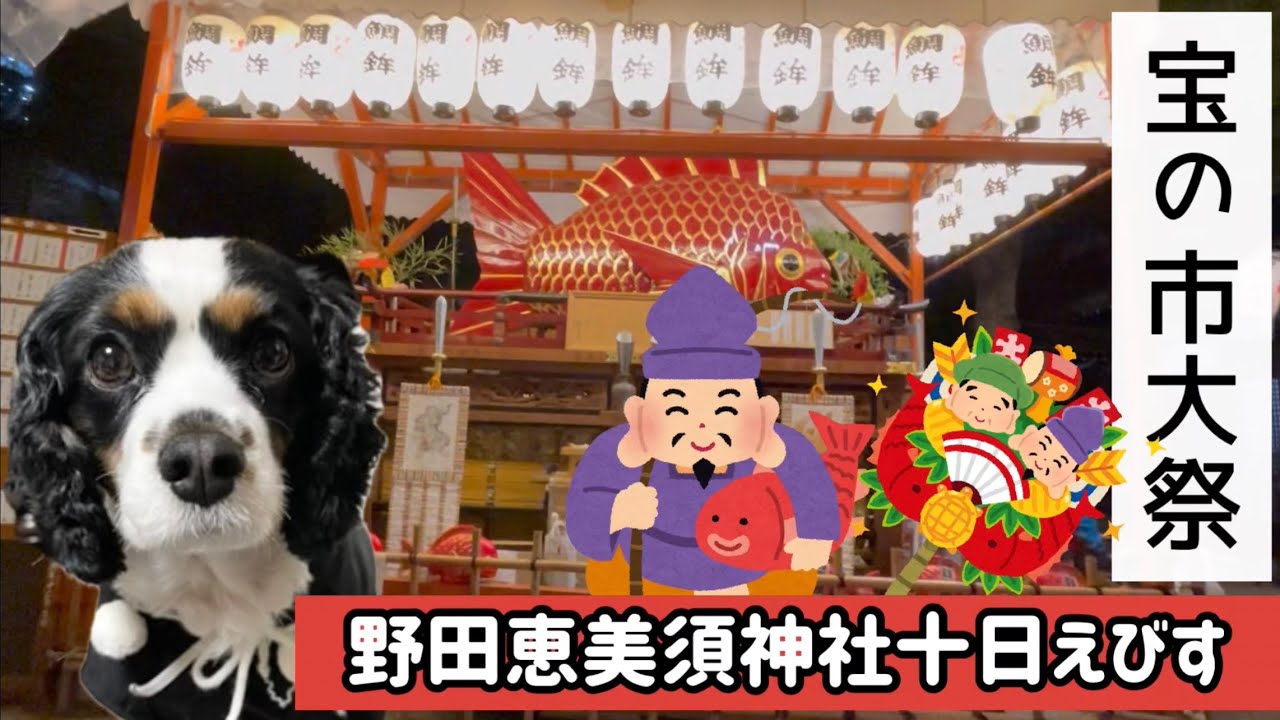 【キャバリア チーズと野田恵美須神社の十日えびすに行ってきた☆★】宝の市大祭で残り福でめで鯛