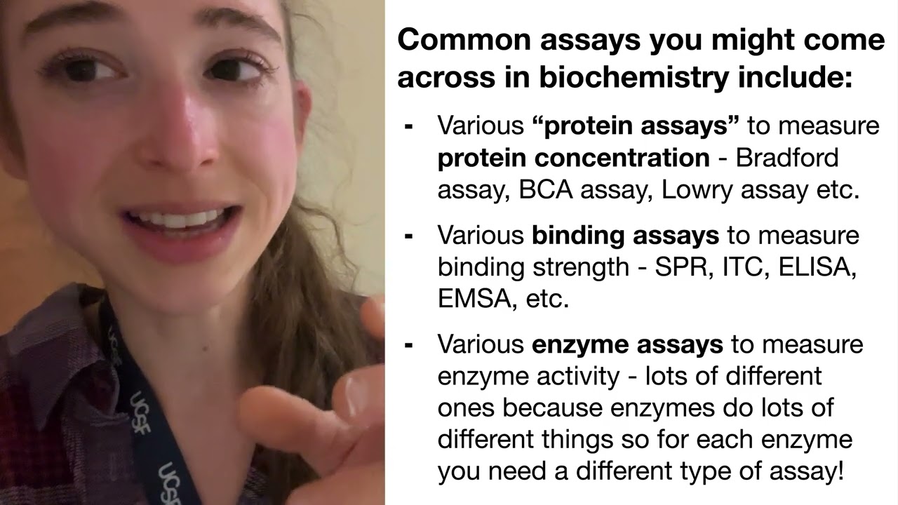 What "assays" are, some ways they're classified, & some key things about them (biochemistry focus)