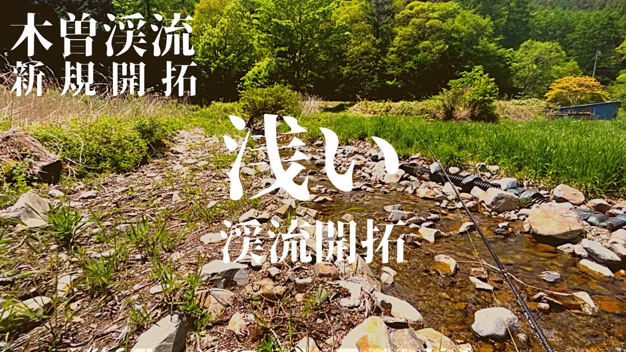 木曽の浅すぎる渓流と浅い渓流を新規開拓