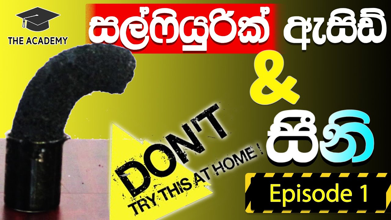 Sulfuric & Sugar|සල්ෆ්යුරික් සහ සීනි|Do not try this at home Episode 1|Practicals with sugar