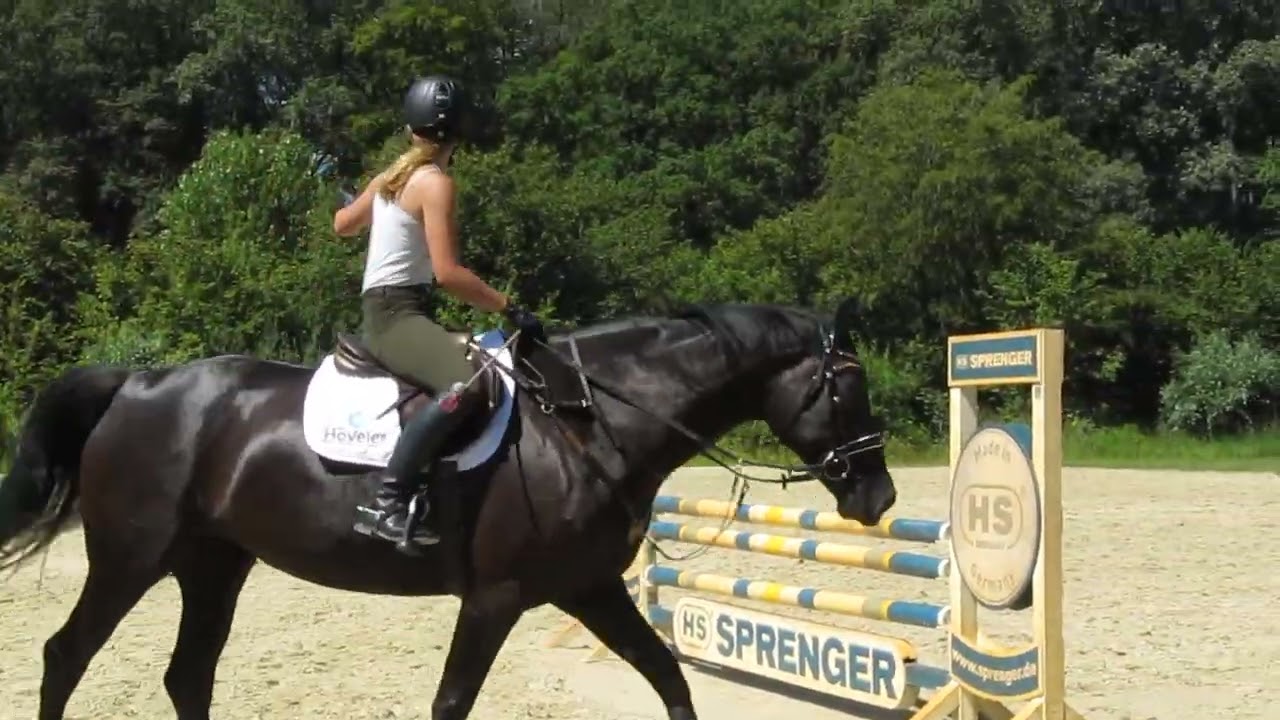 Azubi Lea* bei den letzten Springübungen vor ihrer Abschlußprüfung | Ingrid Klimke, offenes Training