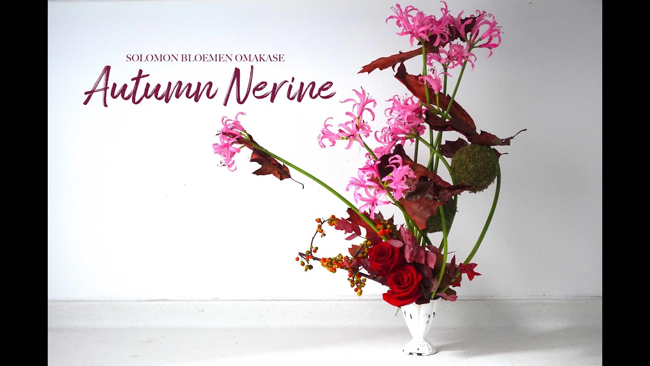 深秋煥錦 | Autumn Nerines | PREVIEW |OMAKASE 大師SOLOMON 花藝教室 | 家居鮮花插花擺設