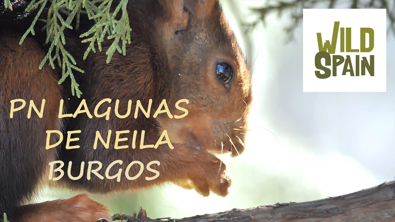 Wild Spain - Capítulo 41 - Parque Natural Lagunas Glaciares de Neila, Burgos.