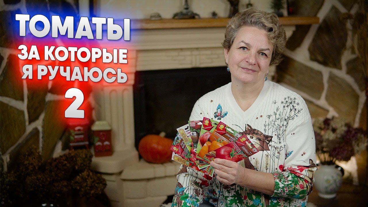 Томаты за которые я ручаюсь   2