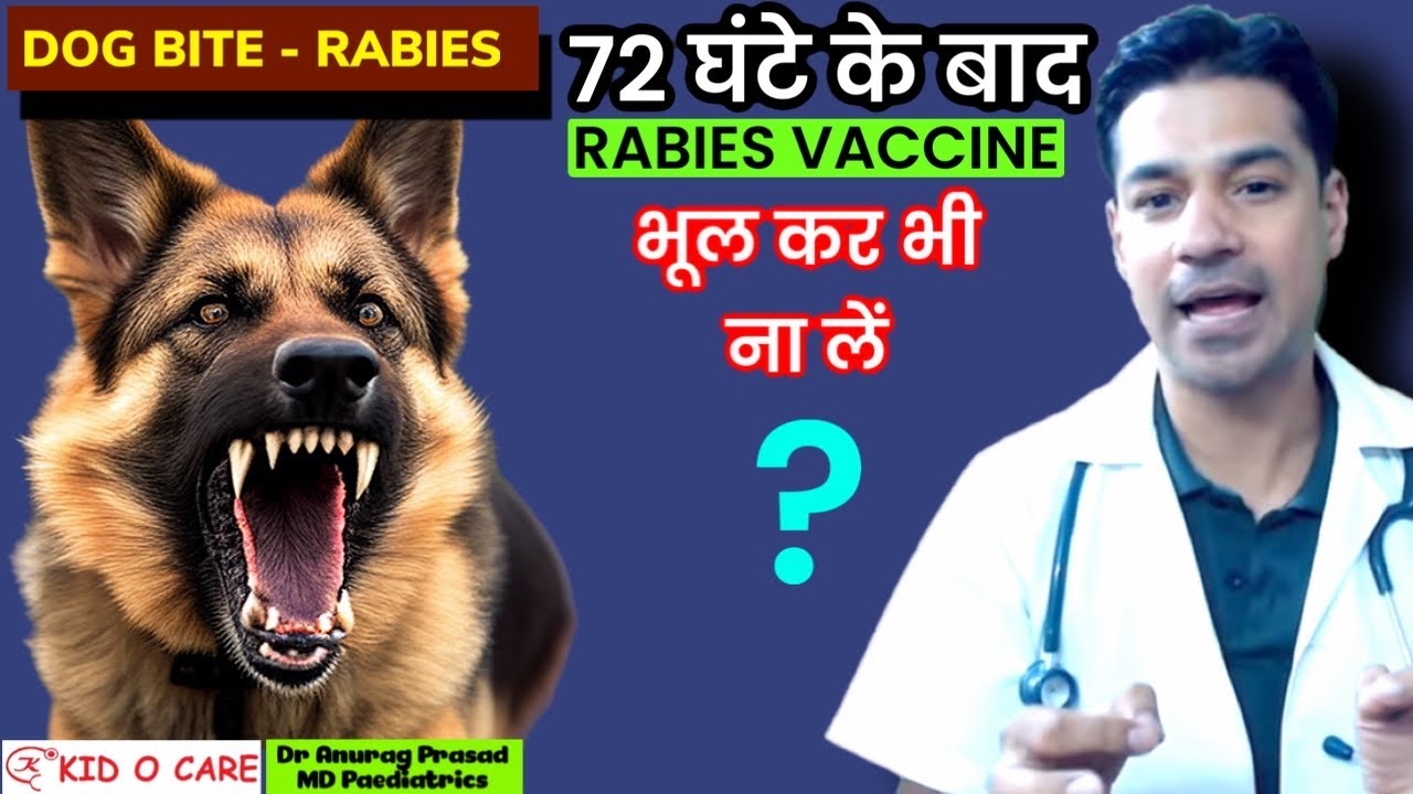क्या 3 महीने के बाद Rabies Vaccine लगवा सकते हैं ? When to Start ARV by Dr Anurag Prasad (Hindi)