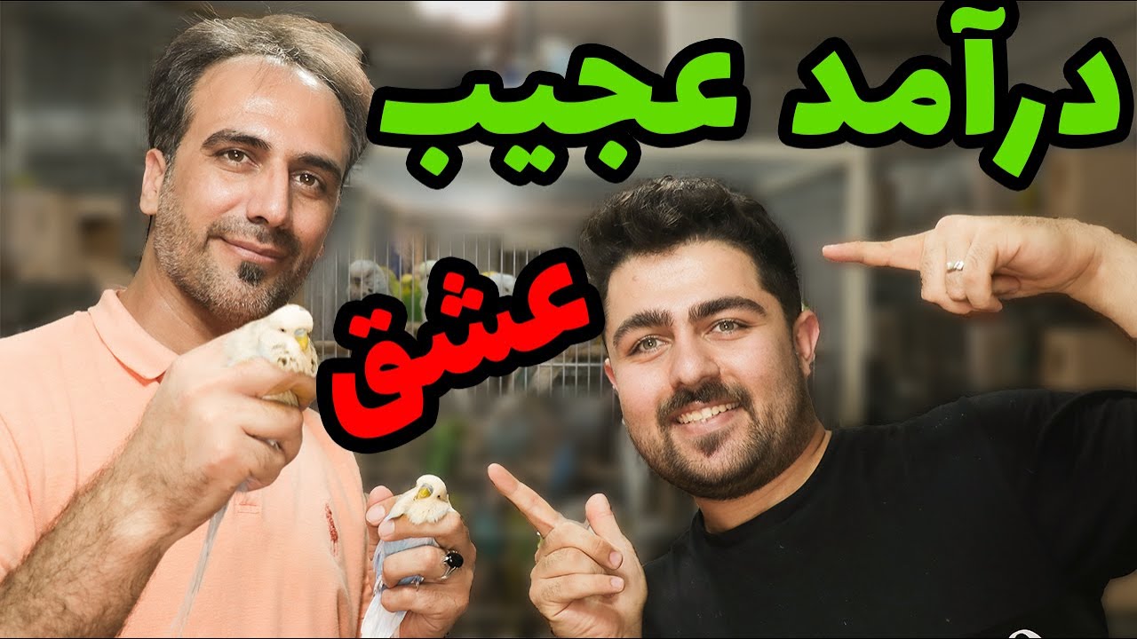 پرورش و تکثیر مرغ عشق (بخش اول: نیازمندی ها و توجیه اقتصادی)