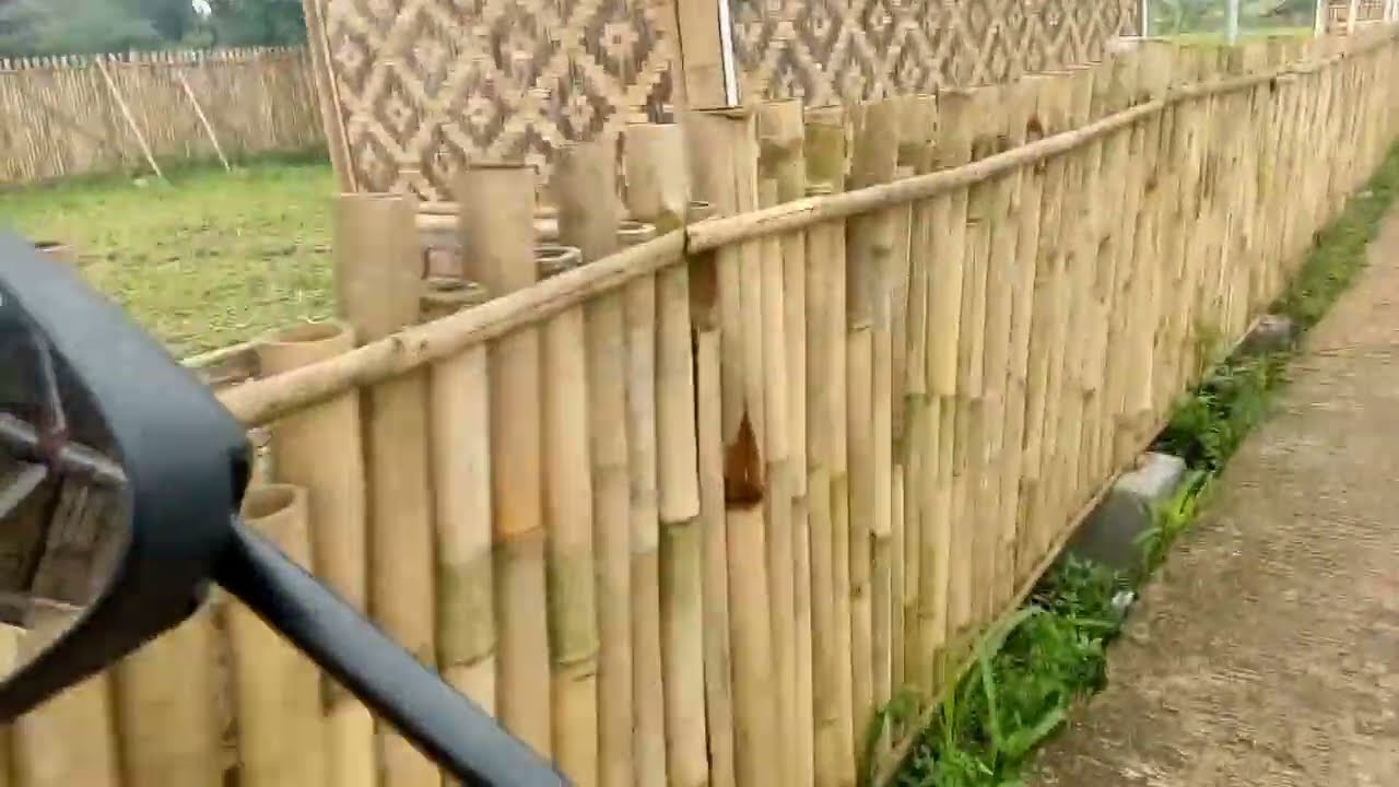 SEJUK NYA ‼️Suasana pagi hari di kampung ...