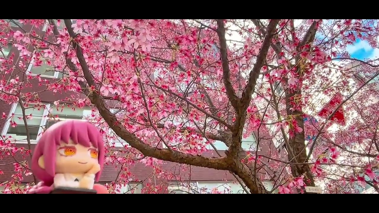🌸