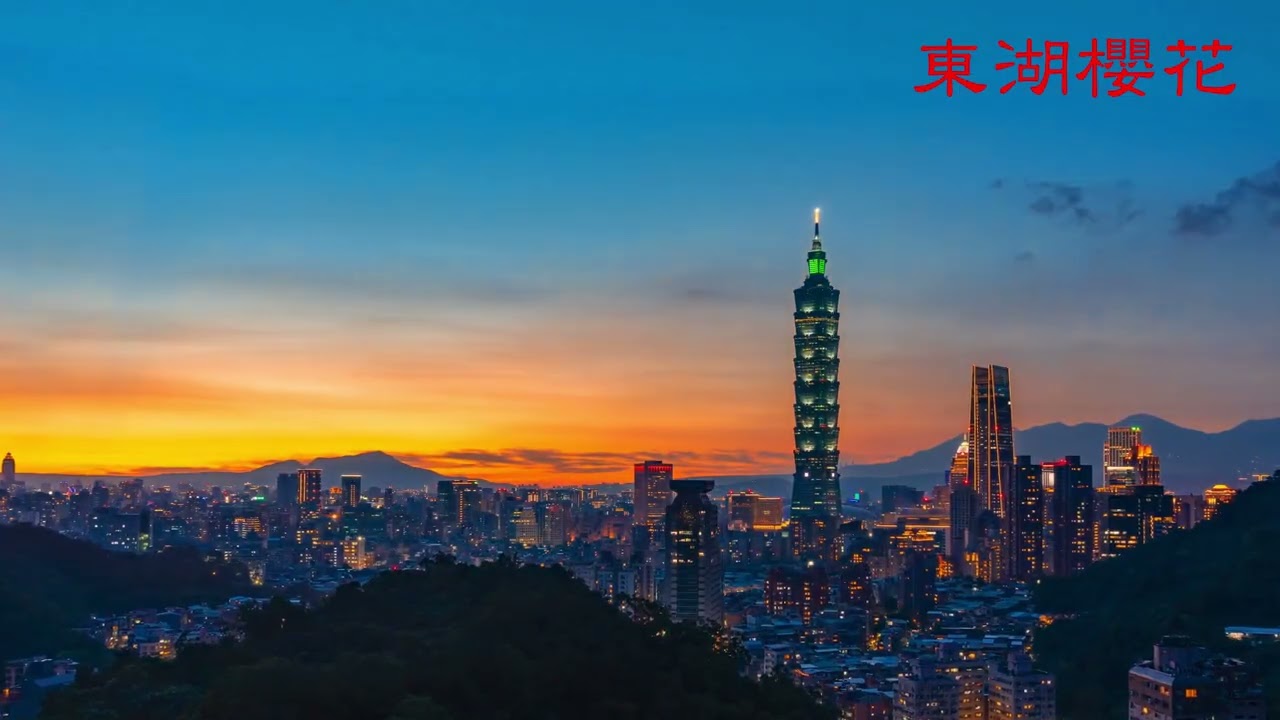 東湖櫻花盛開 20260209台北市東湖樂活公園夜櫻季 正盛開