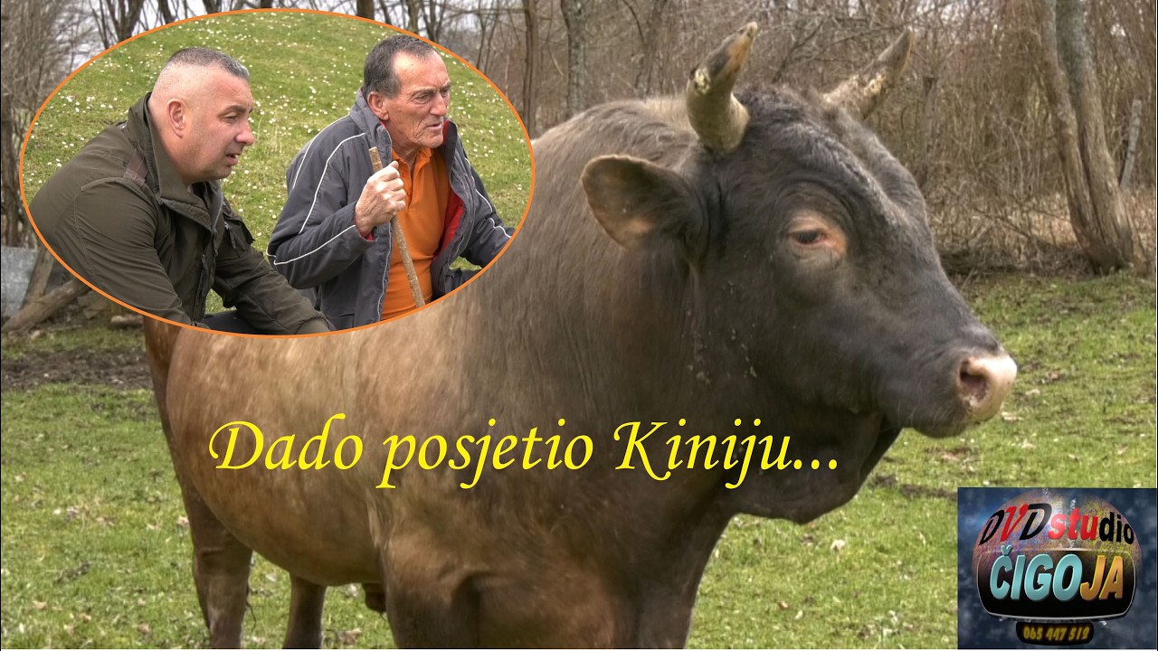 - DADO POSJETIO KINIJU I POTVRDILI MEDONJIN DOLAZAK U SANICU NA KORIDU