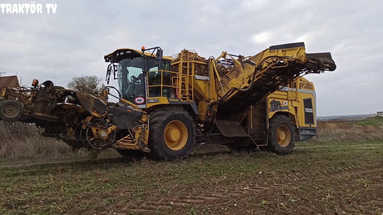 Ropa panther 2, 6 sıralı pancar söküm mekinesi (tarım,çiftçi,çitçilik.traktör)