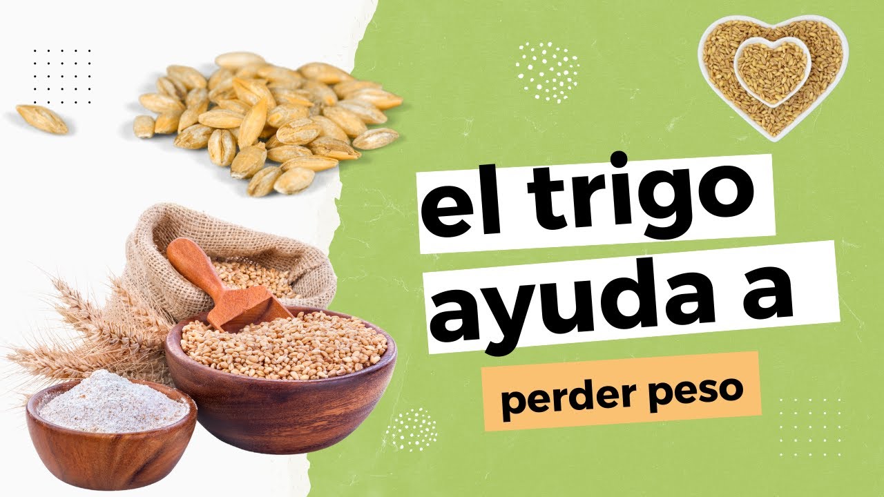 el trigo ayuda a perder peso