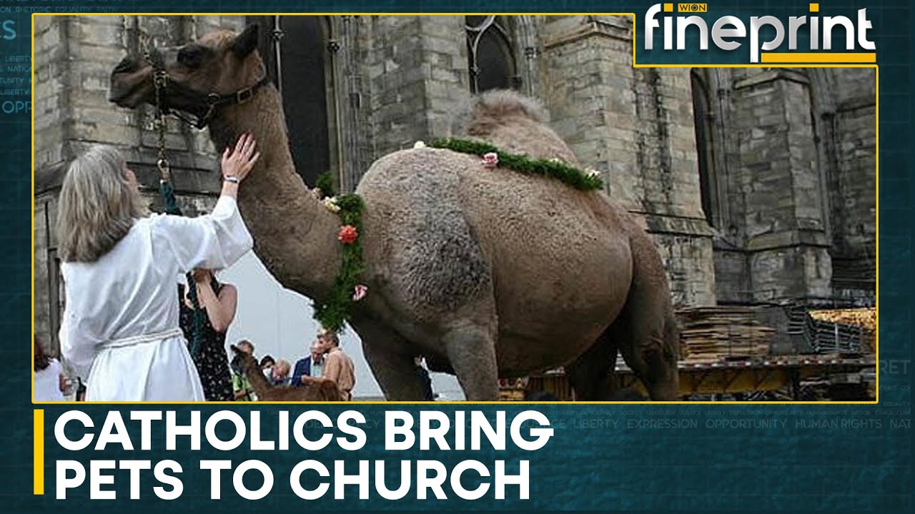 Peruvian Catholics Bring Pets To Church For Blessing Ceremony | WION Fineprint