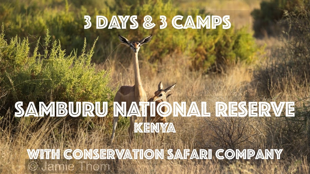 3 Days & 3 Camps in Samburu National Reserve, Kenya - 4K