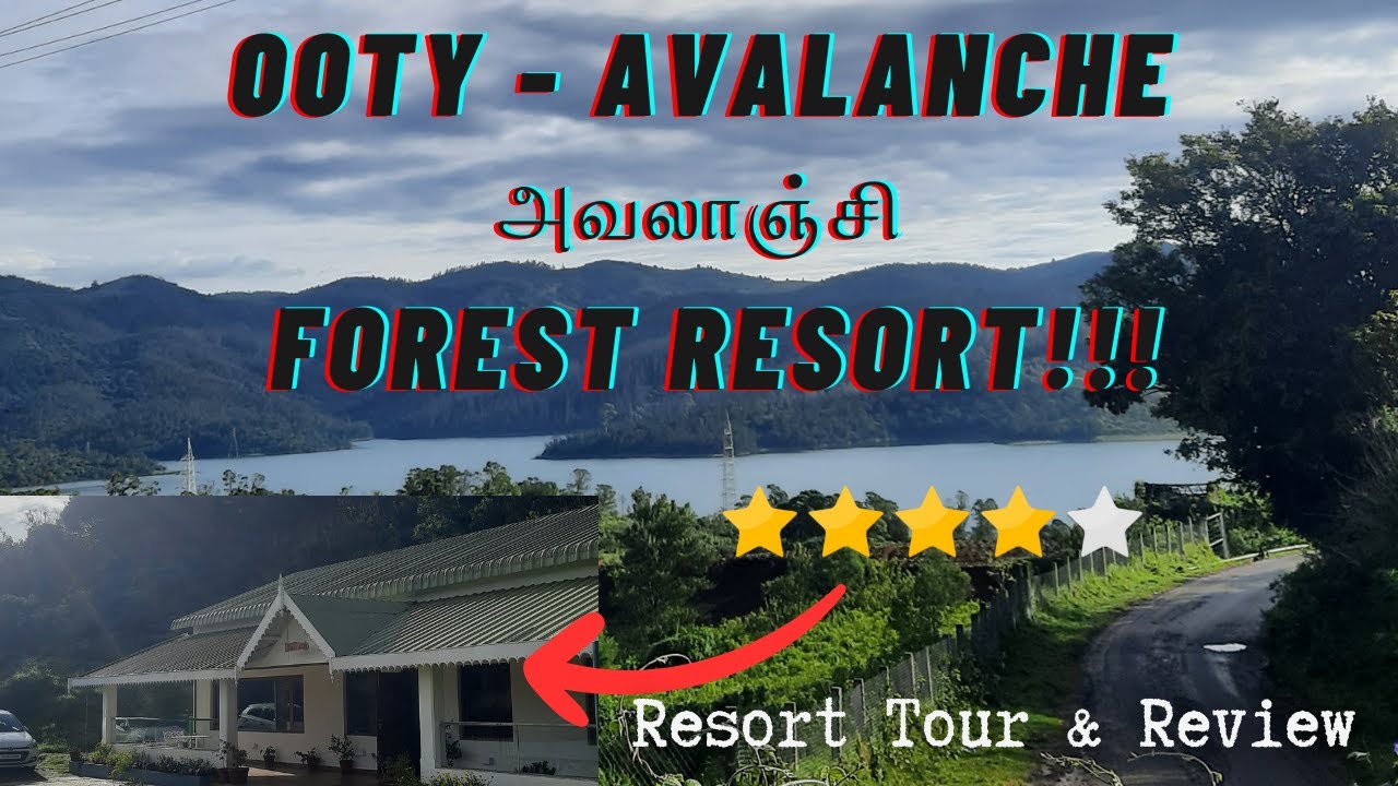 Ooty Avalanche - Forest Nature Resorts - Emerald Valley #resort #reservedforest