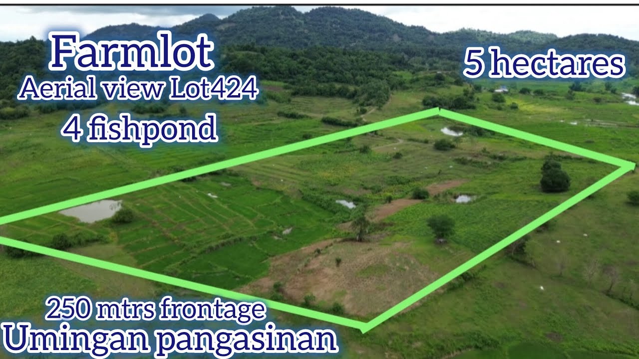 Lot#701 residential farm malapit sa school brgy hall w/ cornerlot. 250 mtrs front,80 mtrs corner lot