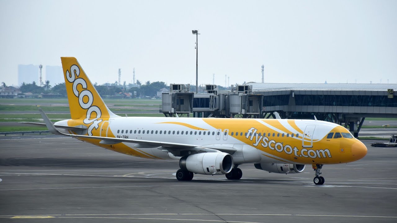 Scoot TR277 Jakarta---Singapore Economy Class Journey 酷航 TR277 經濟艙飛行報告