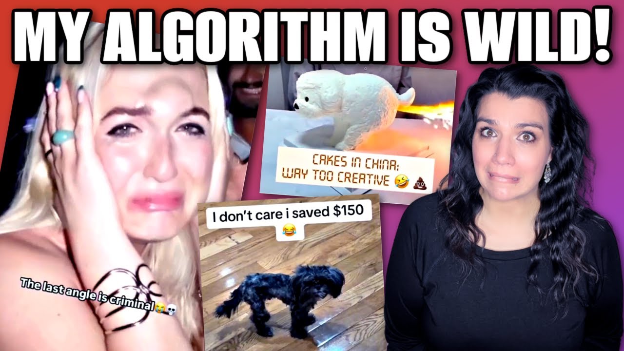 Почему мой алгоритм такой?! Интернет взбесился!