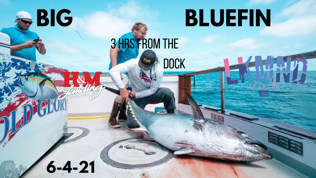 Jumbo bluefin At Night on the Flatfall 3 hrs after leaving the dock !!  1.5 day old glory San Diego