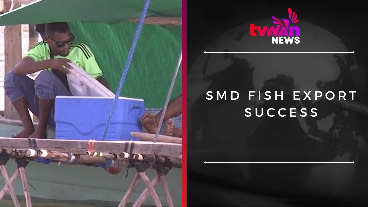Успех экспорта рыбы SMD