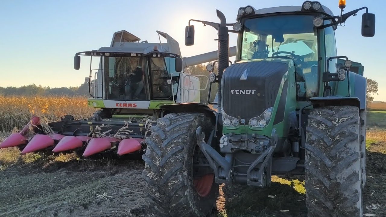 🌽Złote Żniwa Czyli QQRydza na Ziarno z Claasą❗CLAAS&FENDT&MASSEY FERGUSON